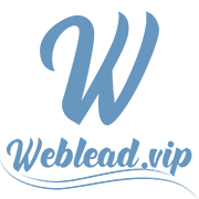 VIP Web Lead Agency Logo